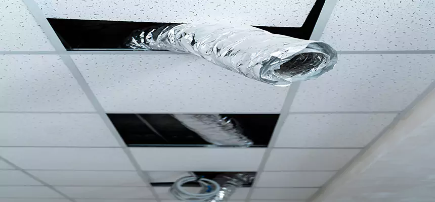 Our Air Duct Pet Hair Removal Services in Merced, CA