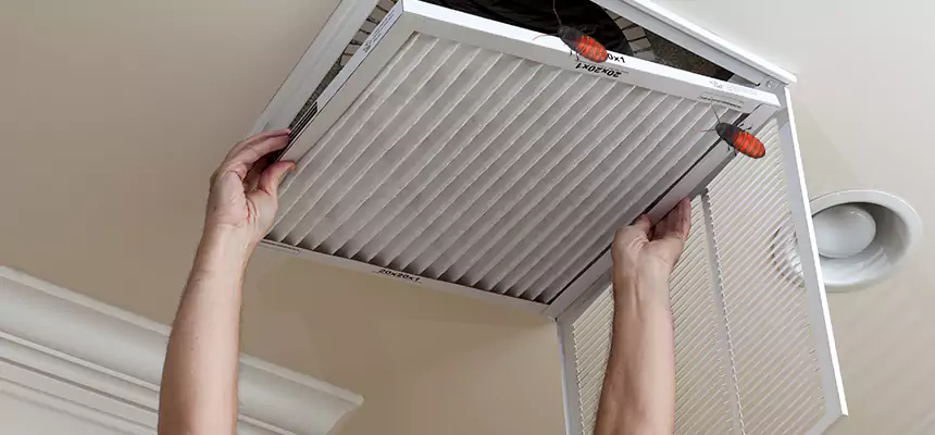 Our Insect Removal from Air Ducts Services in Merced, CA