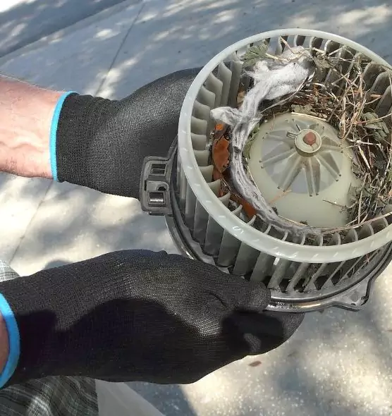 About Air Duct Rat Removal in Merced, CA