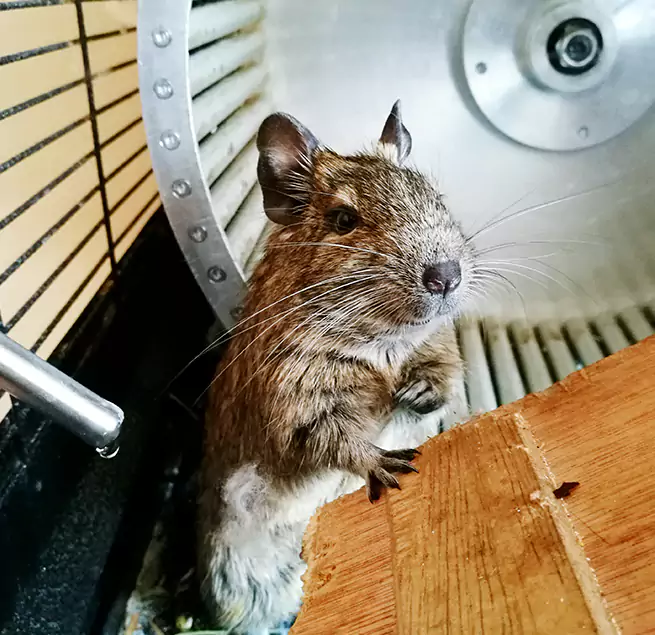 Why Homeowners & Businesses Trust Us Merced, CA