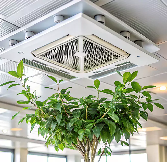 Why Homeowners & Businesses Trust Us in Merced, CA?